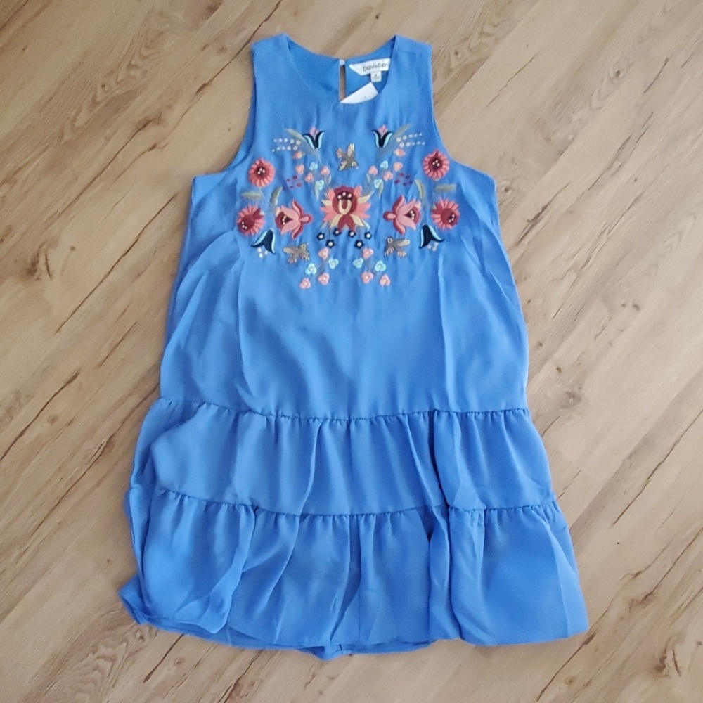 Embroidered Dress